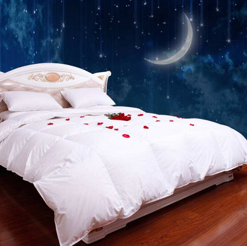 鵝絨被好還是蠶絲被好？